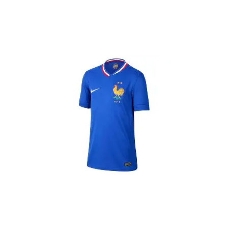 maillot de foot pro
