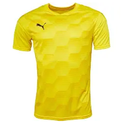 maillot de foot pro